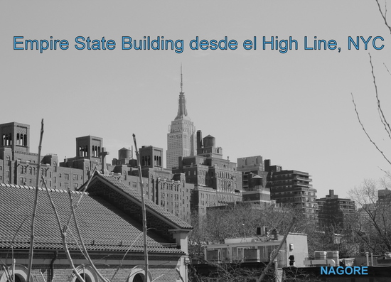 Empire State desde Highline