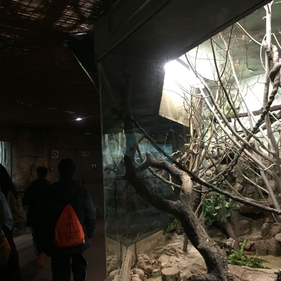 Faunia: taller y visita guiada 22