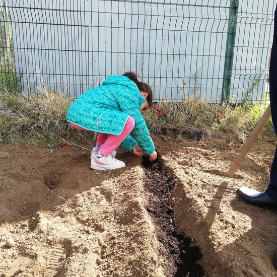Huerto escolar 2019/20 39