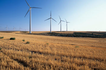 Campo eólico, Las Bárdenas Reales