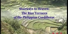 Stairways to Heaven: The Rice Terraces of the Philippine Cordilleras: UNESCO Culture Sector
