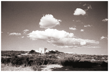 Fotografía artística realizada con un filtro rojo