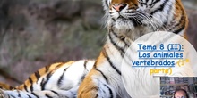 Tema 10 Los animales vertebrados (I)
