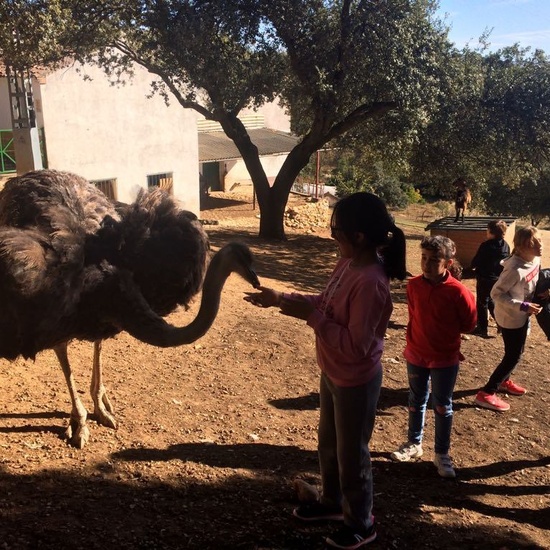 Mohernando 2017_3 26