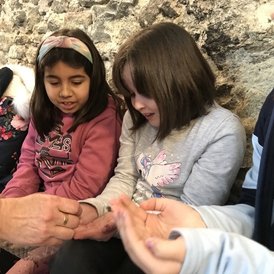 2020_02_27_3º visita Insectpark (4)_CEIP FDLR_Las Rozas 21