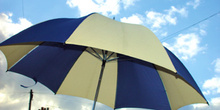 Parasol