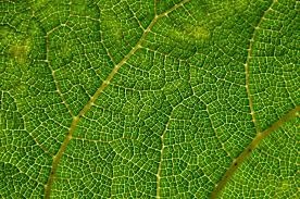 Texturas para superficies 1