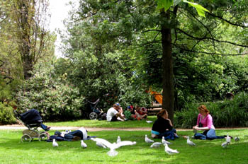 Día en el parque, Australia