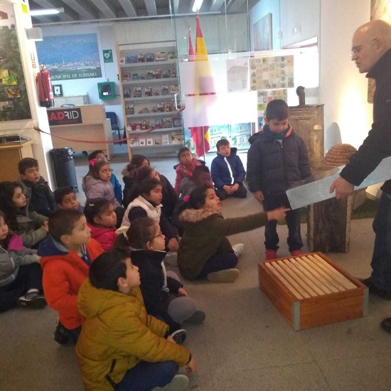 Los alumnos de 5 años visitan el Museo de la Ciudad de Colmenar Viejo 3