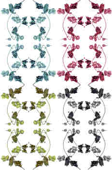 Superposición de ramas y colores