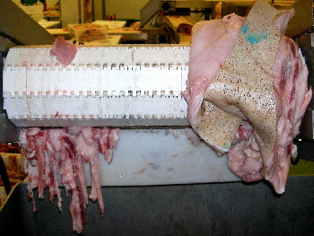 Cinta transportadora de carne