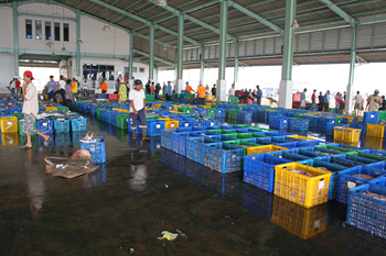 Lonja de pescado, Jakarta