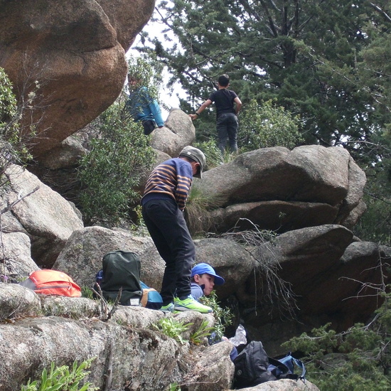 NIÑAS/OS DE 5º NATURALEZA VIVA EN LA PEDRIZA. HOSTOS POR EL PLANETA 3