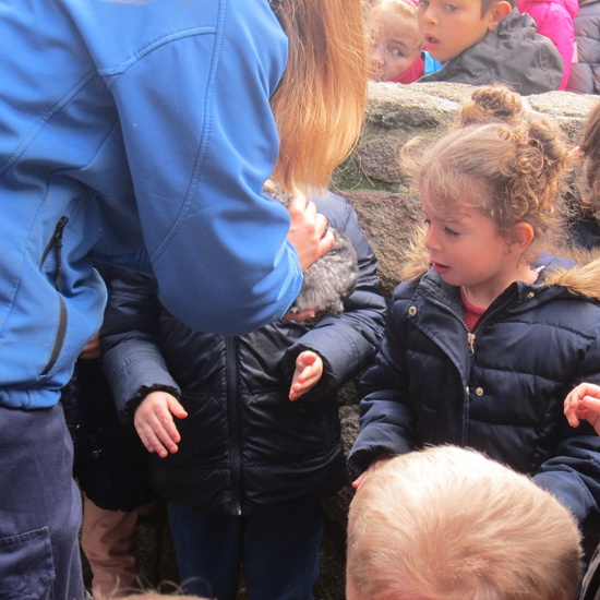 Granja Escuela Educación Infantil Curso 2017-18 34