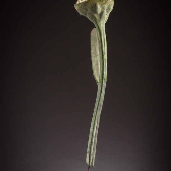 IES_ISABELLACATOLICA_BIOLOGIA_041