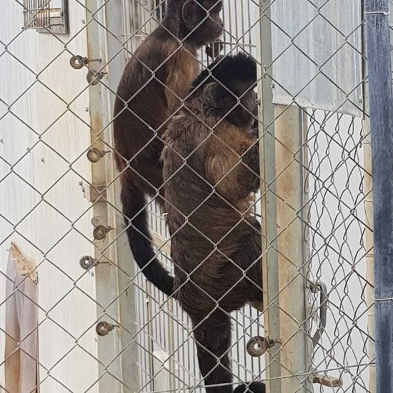 2020-01-15 visita rainfer 4