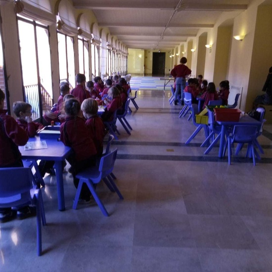 MUSEO DE AMÉRICA, FEBRERO 2019 18