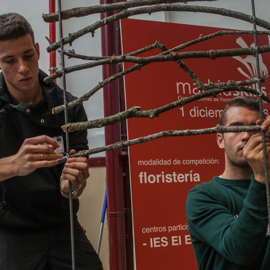 MADRID_SKILLS2016_003