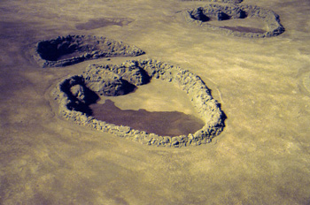 Huellas de dinosaurios extraídas de la costa asturiana, Museo de